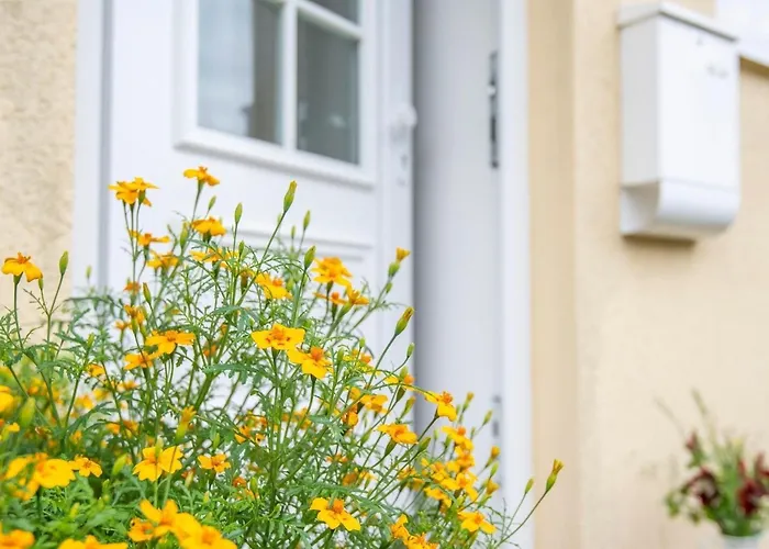 Apartamento Fasanenweg 10- Idyll Am Wald Kellenhusen